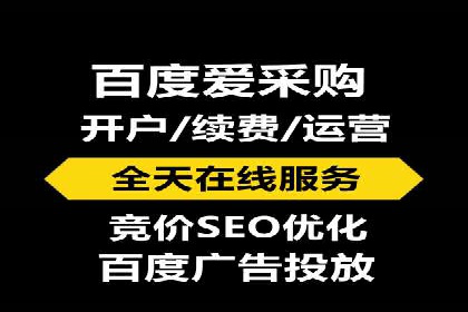 行业领先企业的SEM竞价代运营案例解析